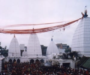 stampade in deoghar