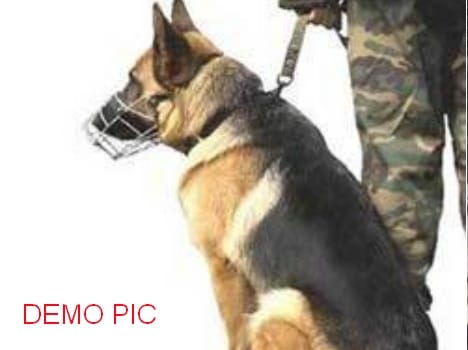 valiant ‘mansi’, handler go down fighting terrorists in J&K