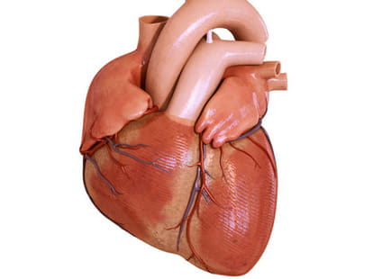 heart attack symptoms and prevention