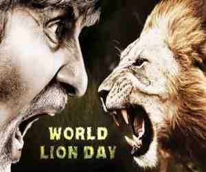 Amitabh Bachchan defends Tiger 