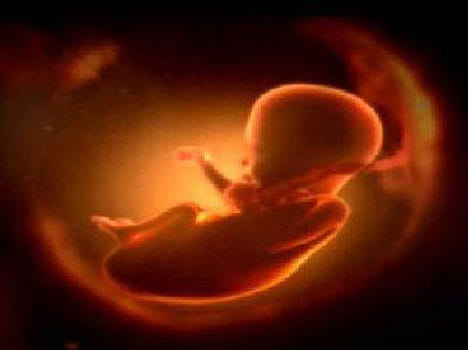 Planned Parenthood Has Been Selling Body Parts From Aborted Babies
