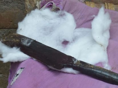 a brutal murder case in raibareilly