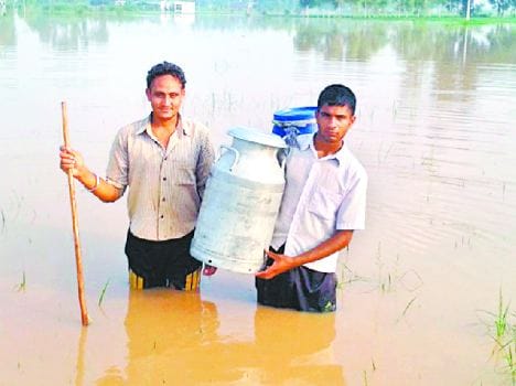 rain in himachal, flood danger in punjab, bhakhra dam gate opened
