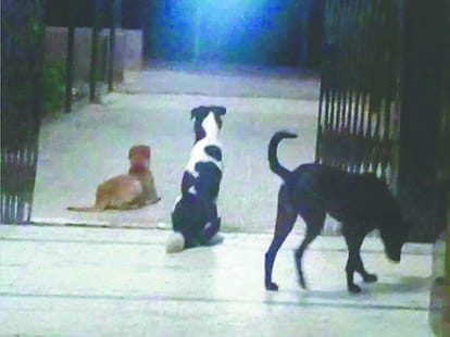 this picture is sure the hospital is Delhi