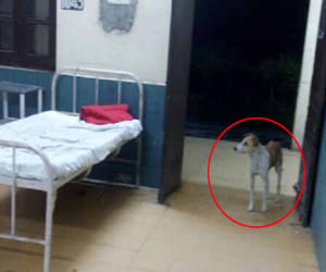 this picture is sure the hospital is Delhi