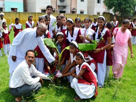 plantation
