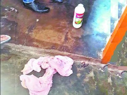 attack on home, brutal murder of woman, daughter survived