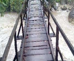 16 months have passed since the bridge is not