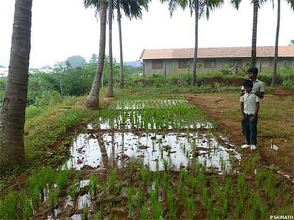 dalit school in forest