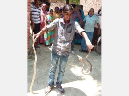 this person can call snakes by his voice only