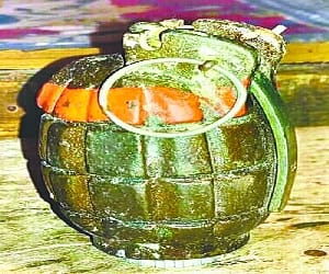 Hand grenades from the forests in search operation