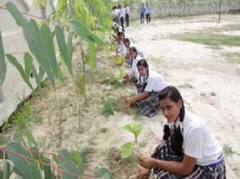 Children from cultural events 