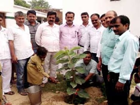 every man Planting 5 plants