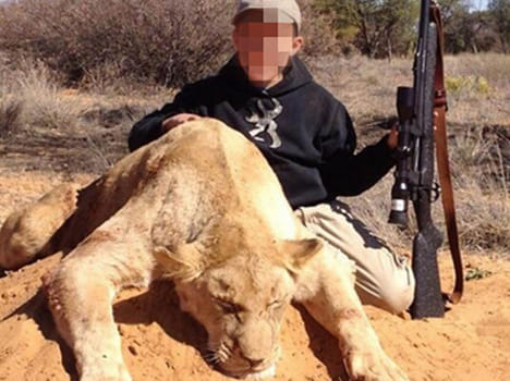 Father posted pictures of his sons hunting lion