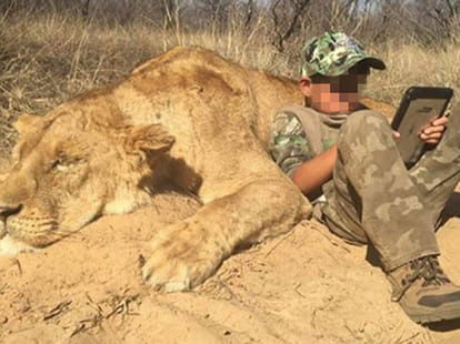 Father posted pictures of his sons hunting lion