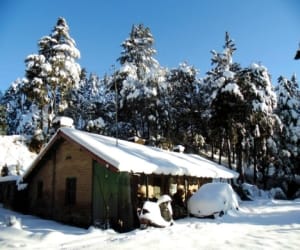 tourist place mukteshwar in nainital.