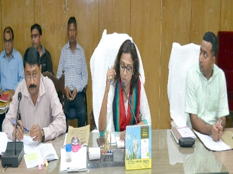 Panchayat elections, review the preparations