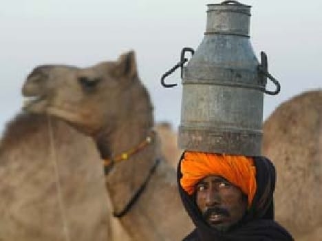 Photography has changed the picture of the world