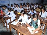 Basil knowledge test Descended student
