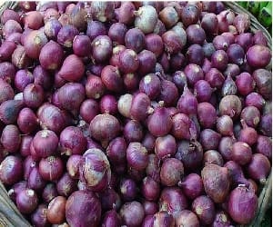 low cost onion can purchased frome these mandis