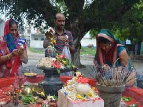 Devotees worship