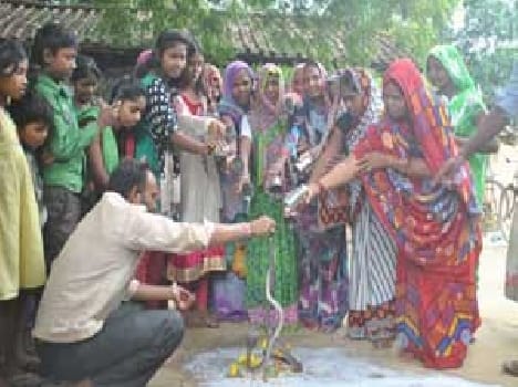Naag Panchami festival was celebrated with great pomp