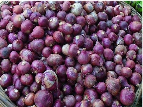 Onion prices rose to Rs 80 a kg