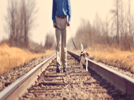 Lost life to save the dog.