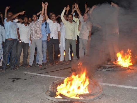 furore over dead cattle found in vijaypur's jammu