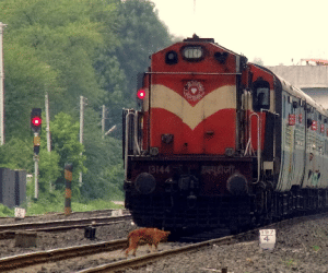 General railway ticket by mobile app.