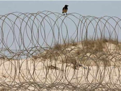 hamas catches spying israeli dolphin