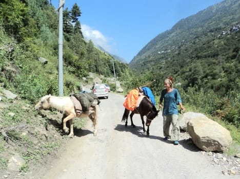 France couple moving on foot in the mountains of himachal.