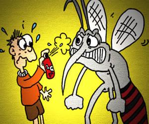 Fell in official samples of dengue in private investigation.