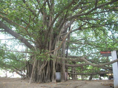 The manuscript of Sunderkand is in the Dulhi village