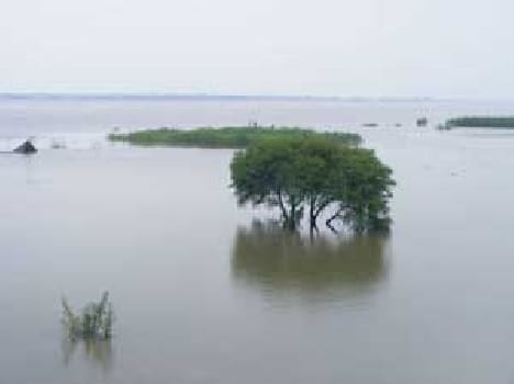 Increasing the danger mark at Ganga