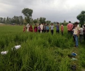 deadbody of lovers found in farm