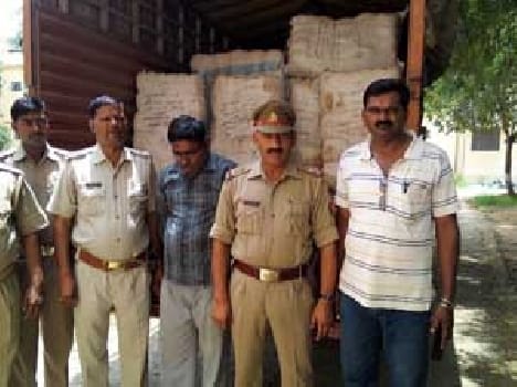  ½ five quintals cannabis seized, one arrested