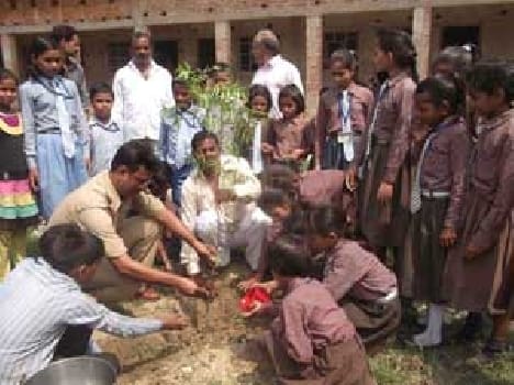 The appeal of plantation