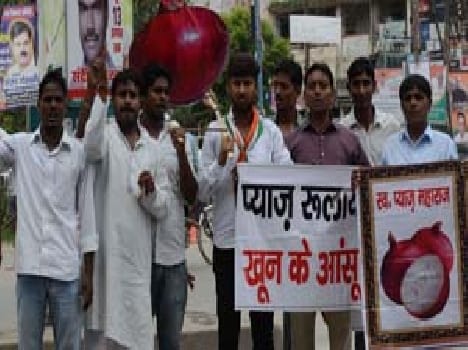 Onion , prices of pulses increased performance congressmen