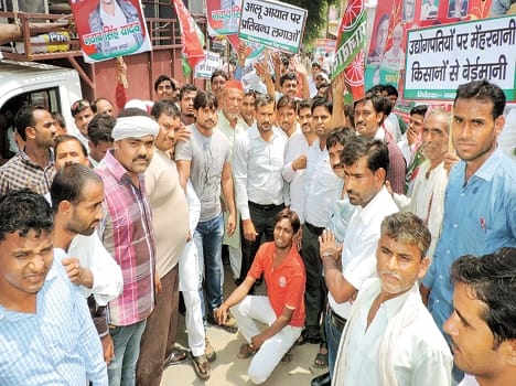 demand to export Potato 