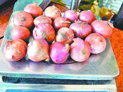 pakistani and afhgani onion in indian markets