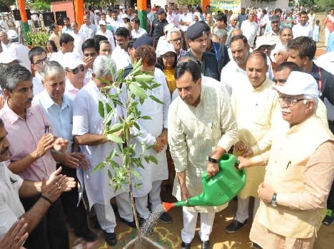 cm bigins plantion in rohtak