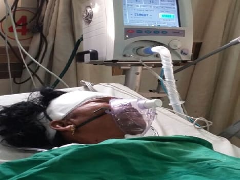 From the mouth of the crocodile dragging saved woman's life