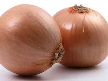 4200 kg onion theft in jaipur 