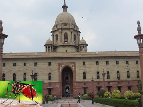 NDMC  issued 90 notice to President House at dengue.