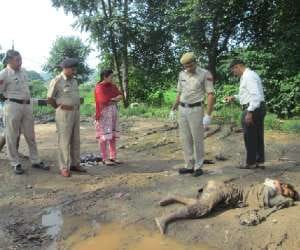 dead body found in suspicious condition in parking