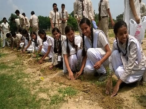 GF and the plantation in Ssmvi