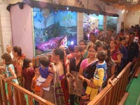 To see floats felt influx