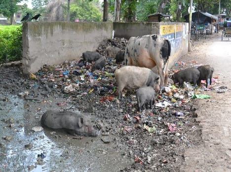 Such a mess , then how meningitis does not spread