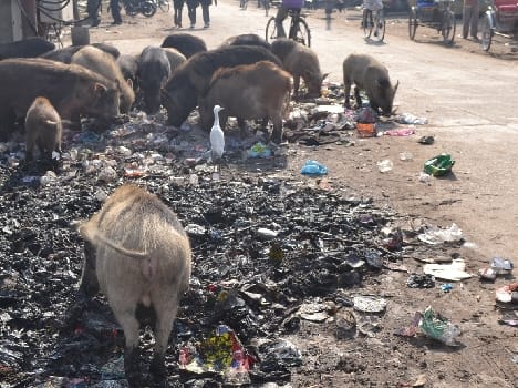 Garbage files lost salvage plan